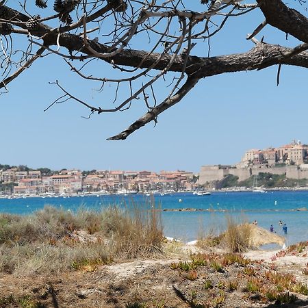 Residence Thalassa Calvi  Exterior foto