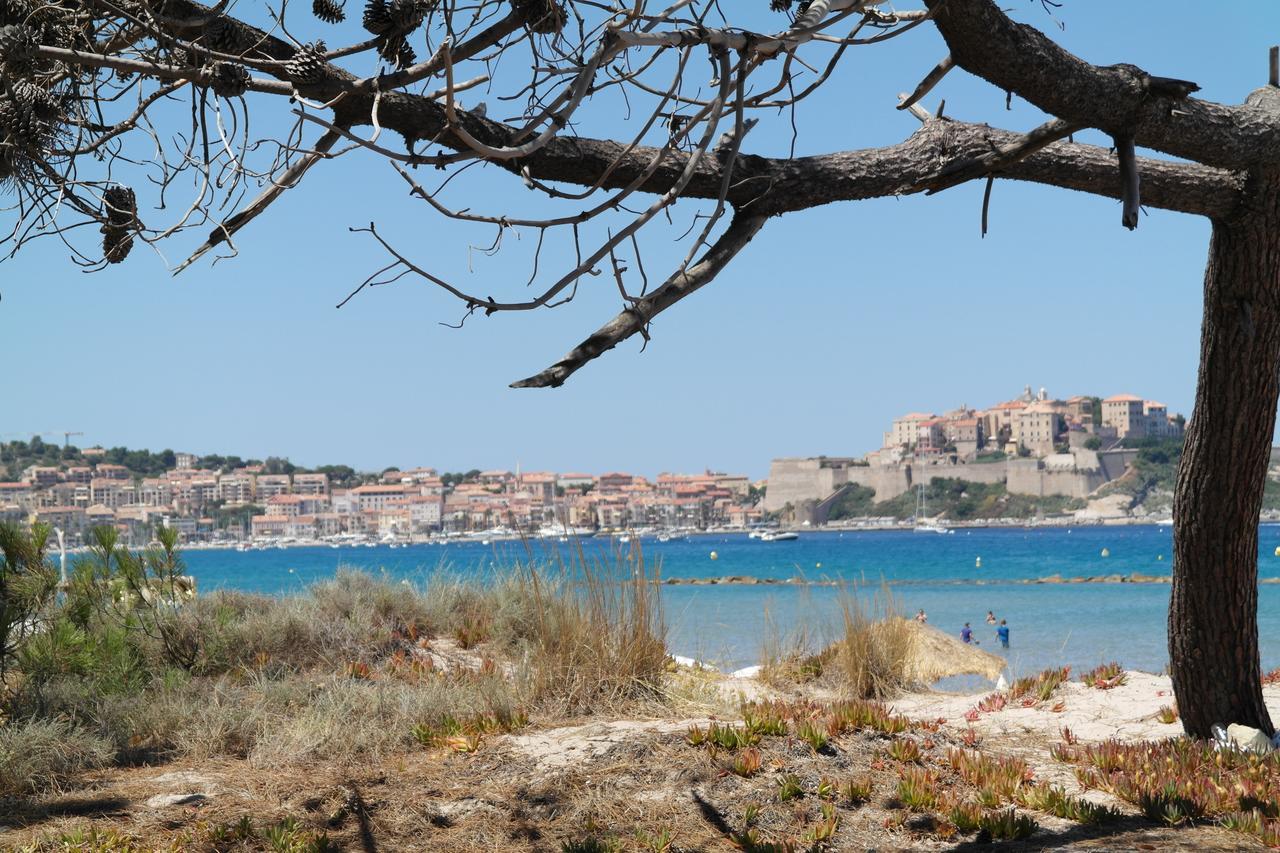 Residence Thalassa Calvi  Exterior foto